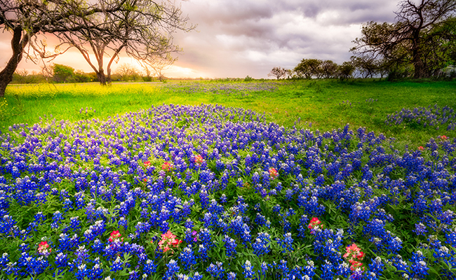 frederickburg tx2